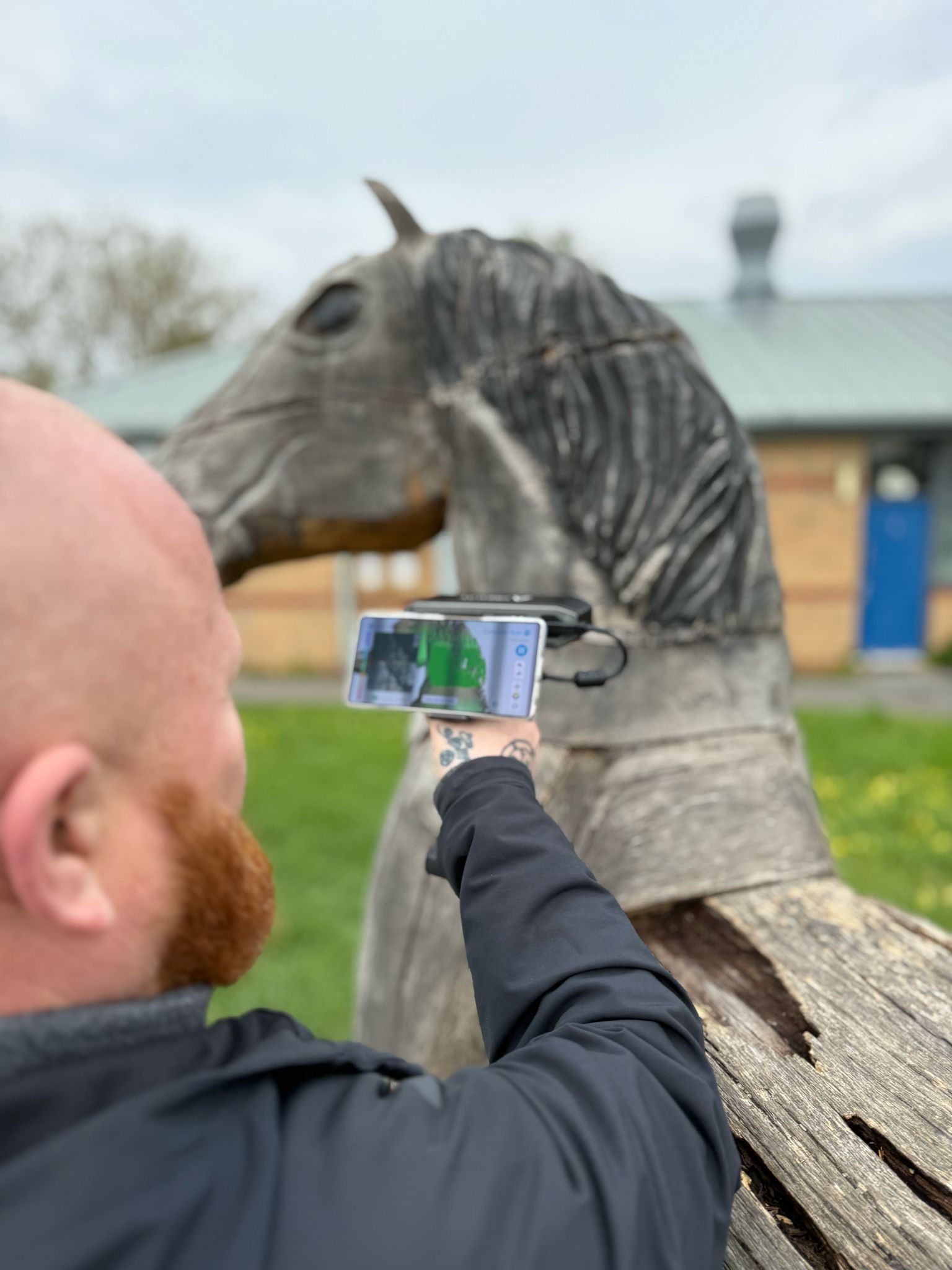 Horse north wales