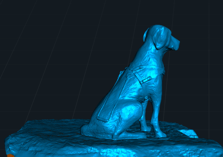 guide dogs 