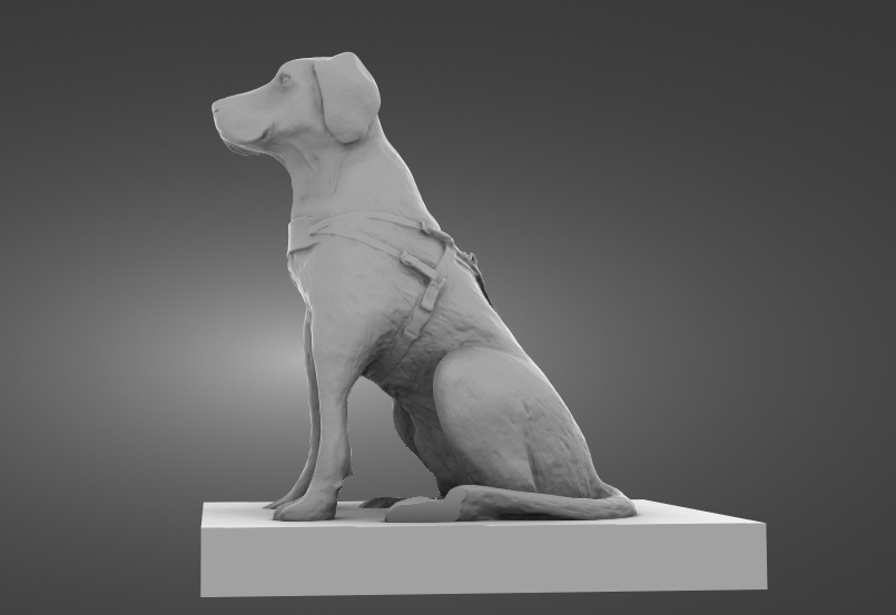 guide dogs 