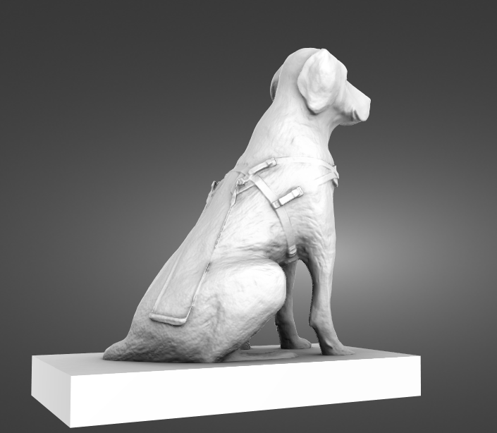 guide dogs 